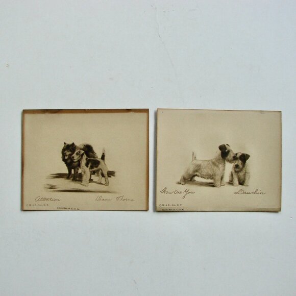 Vintage Dog Art Etching Prints Terriers Chow Samoyed New York 5" x 4" - Picture 1 of 11